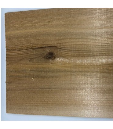 Cedar Planke for grilling 14x38cm