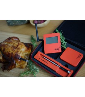 The MeatStick WiFi Bridge Set