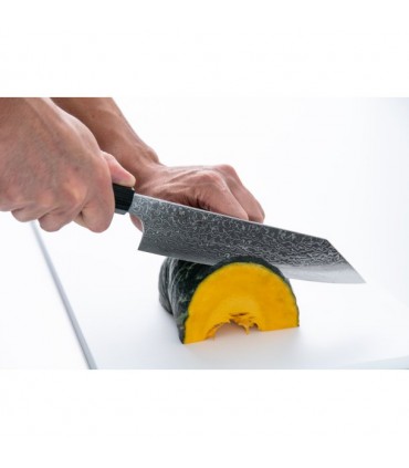 Kniv fra Seki Kanetsugu ZUIUN