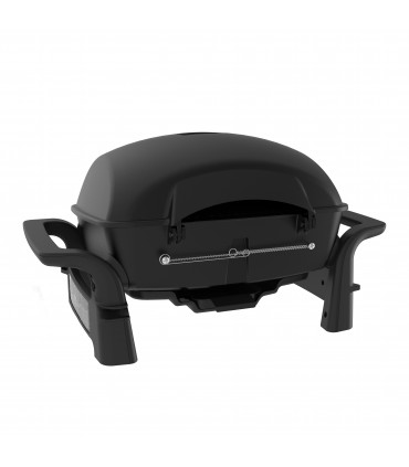 Nexgrill Fortress 2.0 2-brenner bord gassgrill