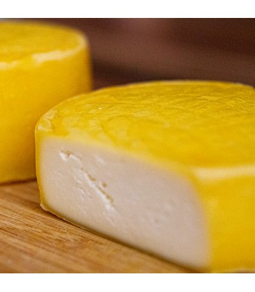 Gouda ostekultur