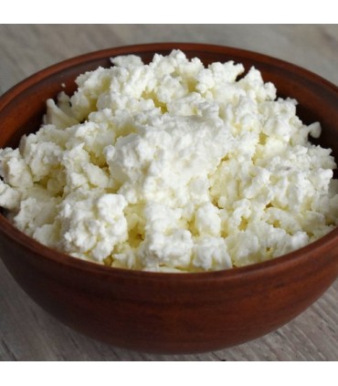 Bakteriekulturer for cottage cheese