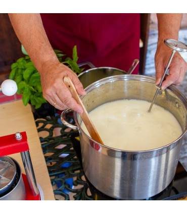 Bakteriekulturer for cottage cheese